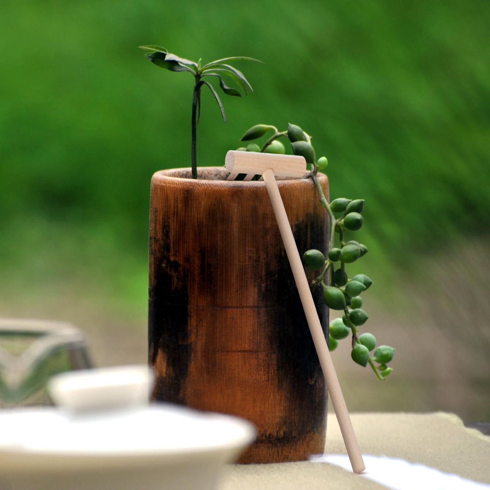 Zen Gardening Tools - Ensemble de 10 mini râteaux de