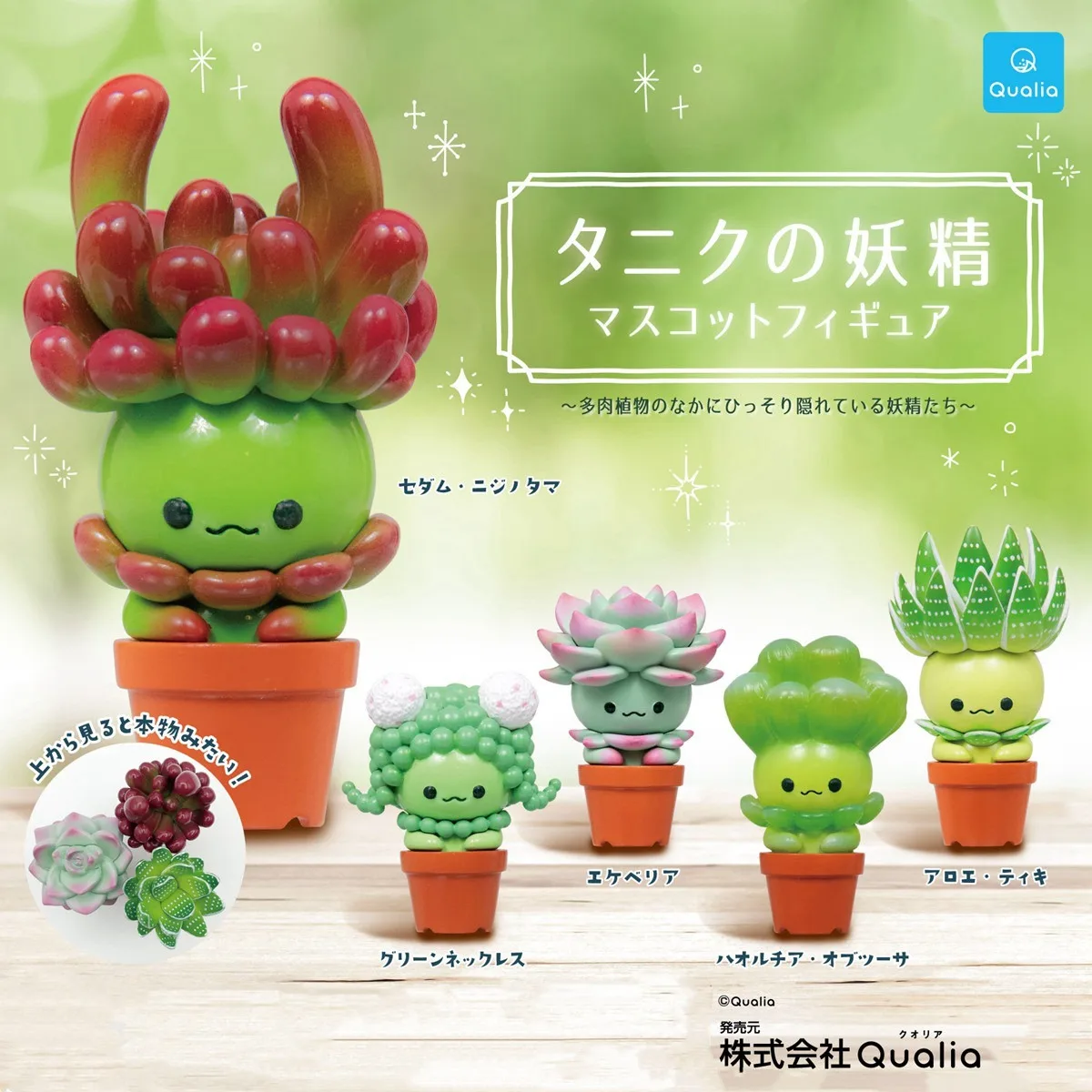 Gardening Tools Cute - Figurine Gashapon Kawaii QUALIA, Plantes succulentes