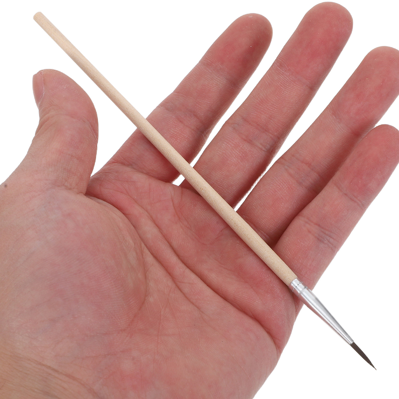 Gardening Tools Vegetables - 24 brosses de pollinisation de jardin