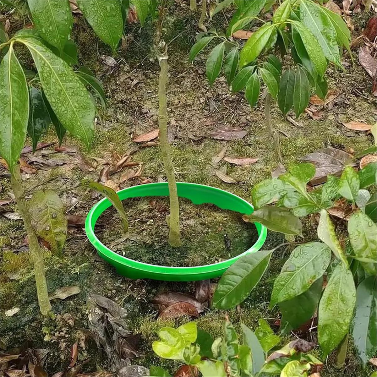 【OFFRE À COMPTOURTER】 4 Anneau - Gardening Tools Deals avis et prix
