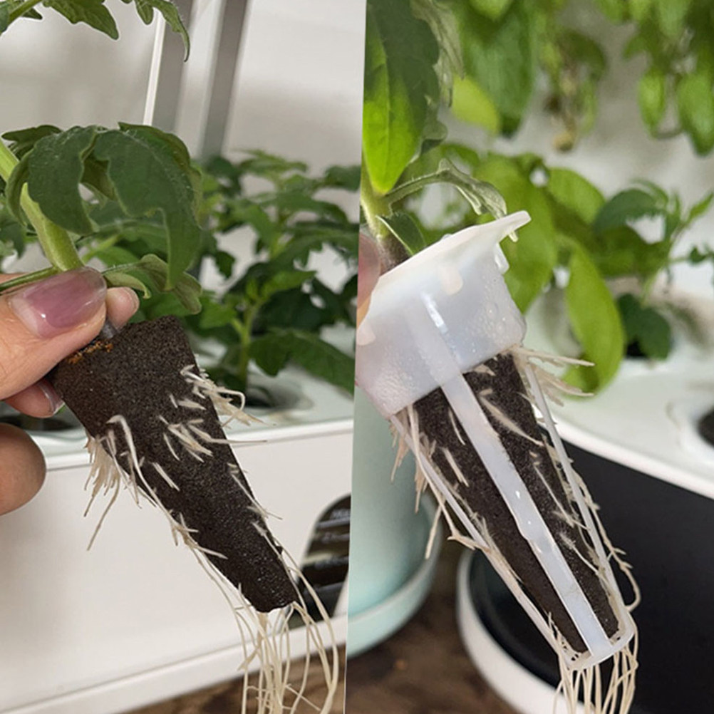 10 éponges de culture sans ter - Gardening Tools Vegetables avis et prix