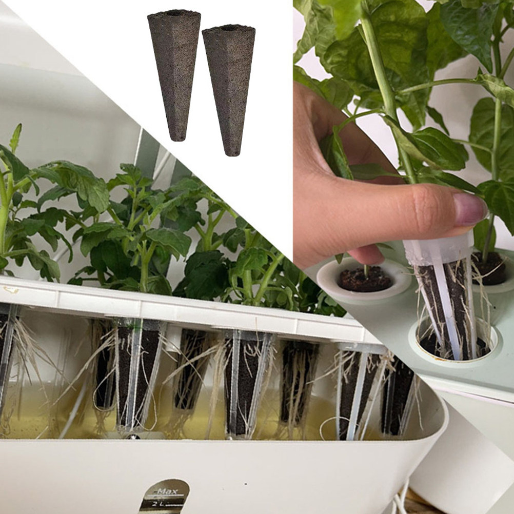 10 éponges de culture sans ter - Gardening Tools Vegetables avis et prix
