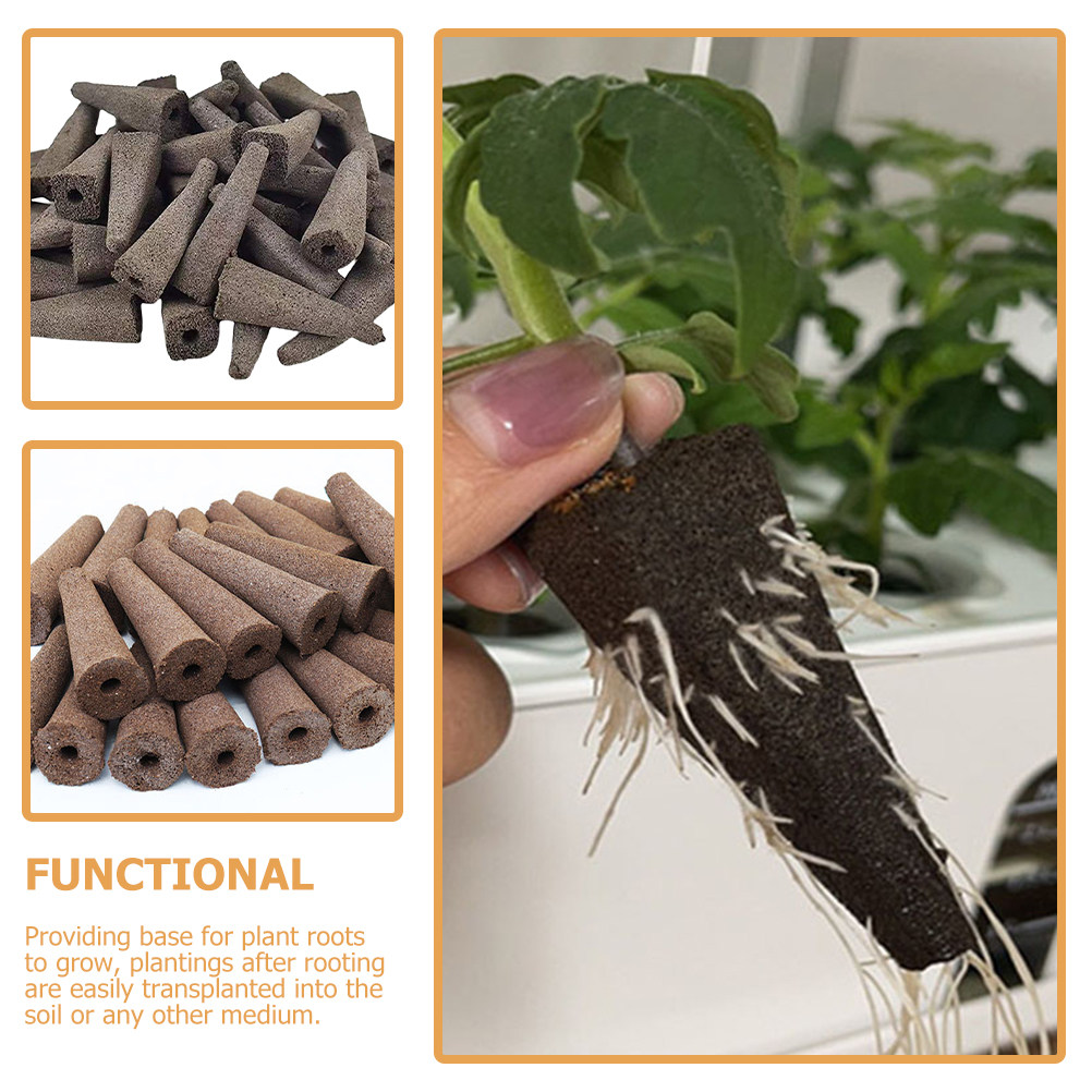 10 éponges de culture sans ter - Gardening Tools Vegetables avis et prix