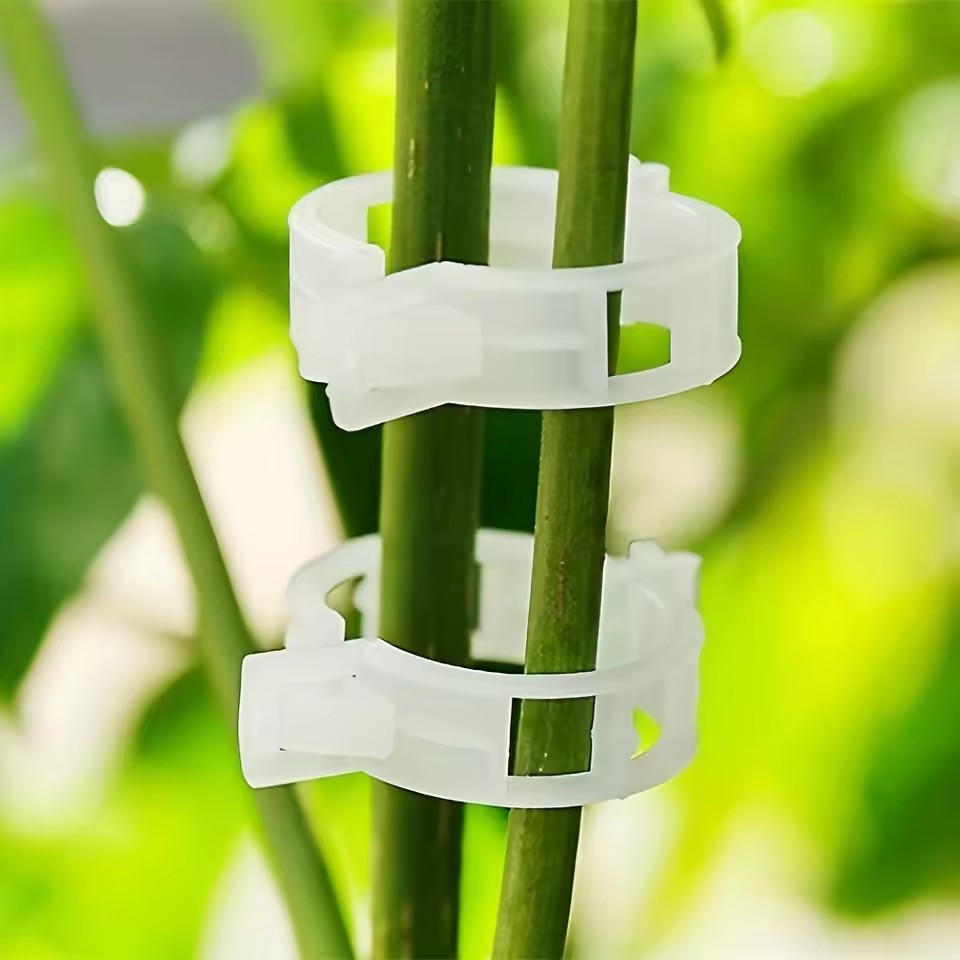 20 pinces de support pour plan - Gardening Tools Vegetables avis et prix