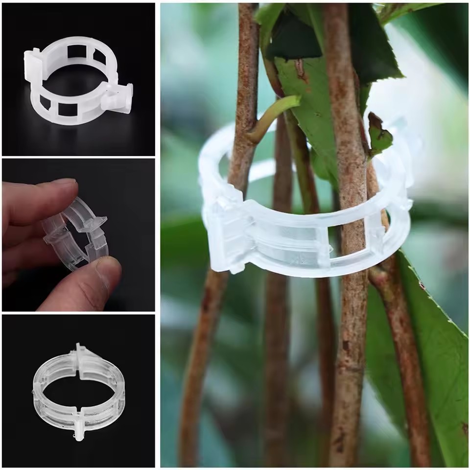 20 pinces de support pour plan - Gardening Tools Vegetables avis et prix