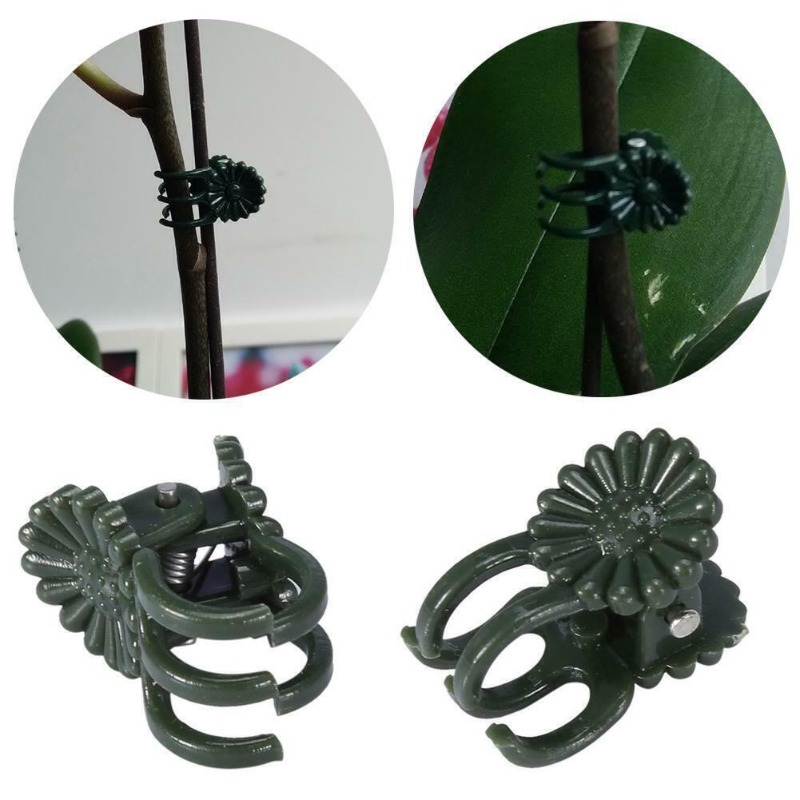 50 pinces de jardinage vert fo - Gardening Tools Bundle avis et prix