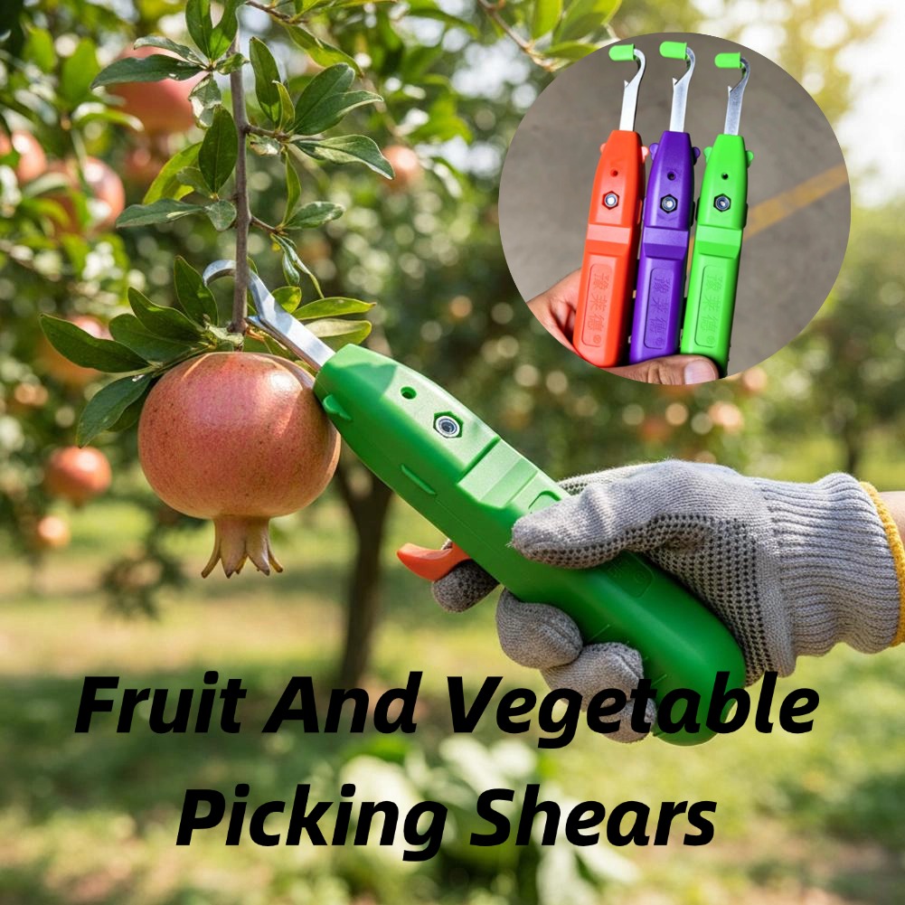 Ciseaux de cueillette de fruit - Gardening Tools Vegetables avis et prix