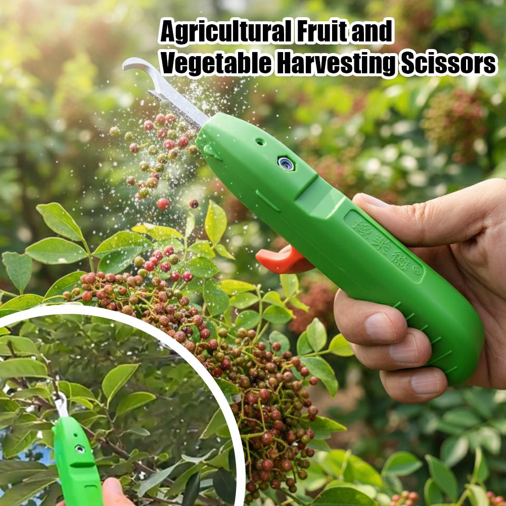 Ciseaux de cueillette de fruit - Gardening Tools Vegetables avis et prix