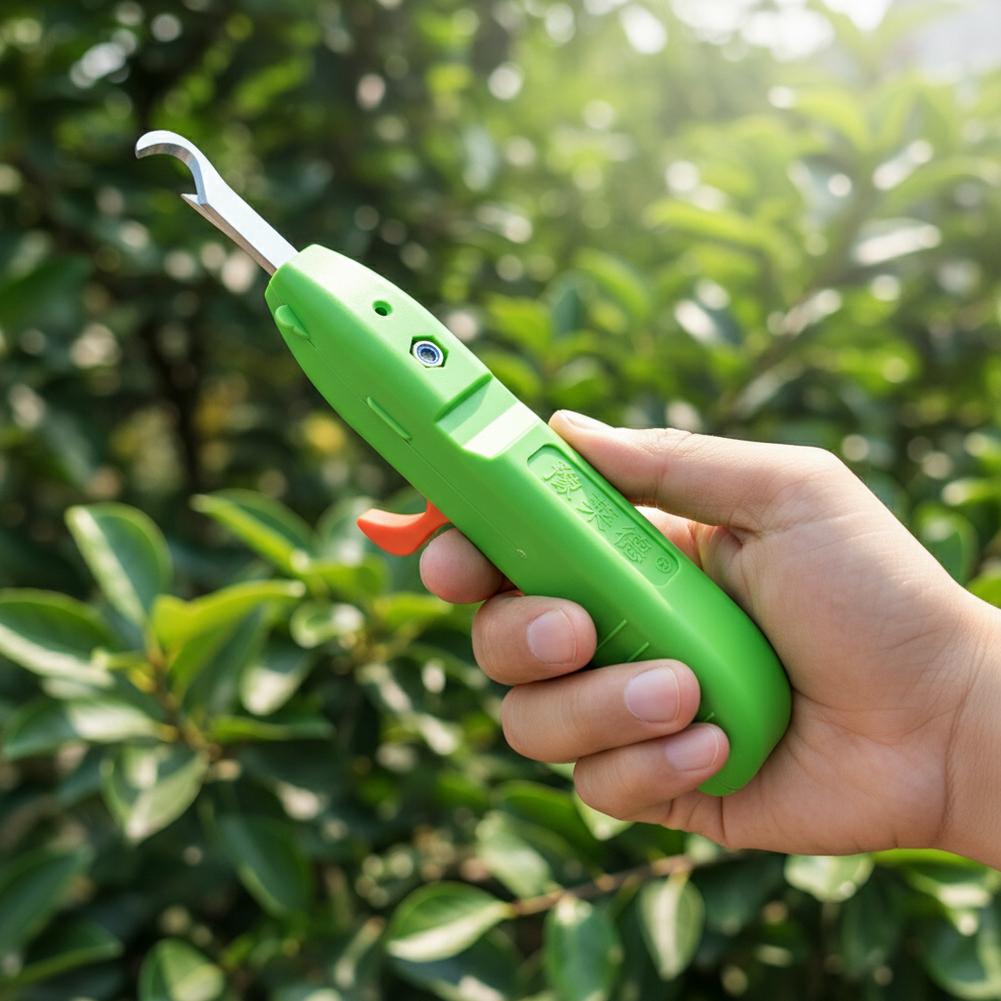 Ciseaux de cueillette de fruit - Gardening Tools Vegetables avis et prix