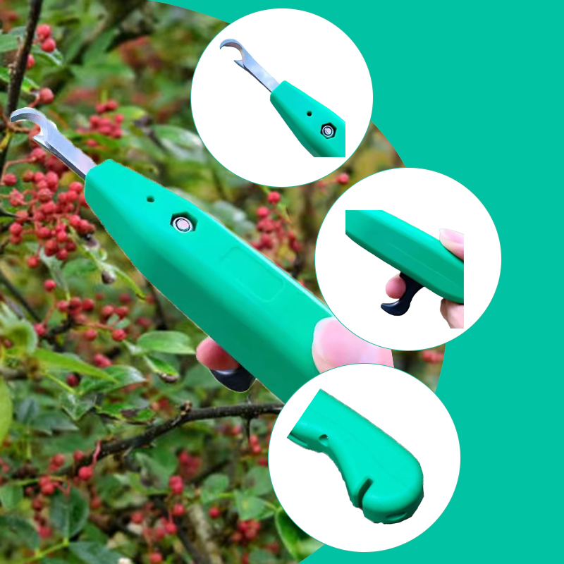 Ciseaux de cueillette de poivr - Gardening Tools Vegetables avis et prix