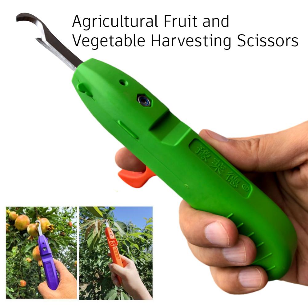 Outil de jardinage multifoncti - Gardening Tools Vegetables avis et prix