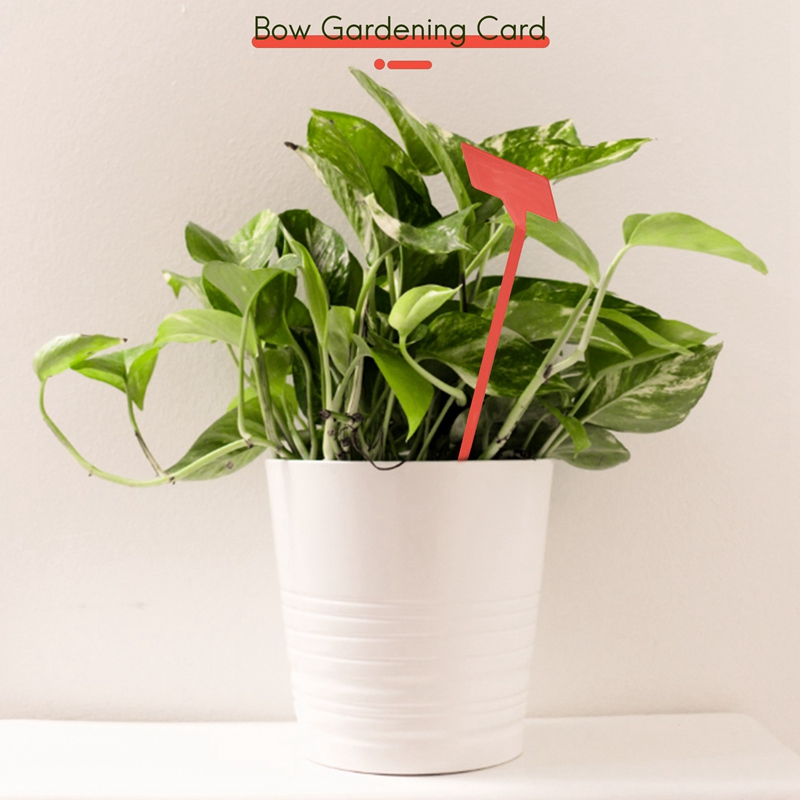 ABYP Outils de plantation de j - Gardening Tools Types avis et prix