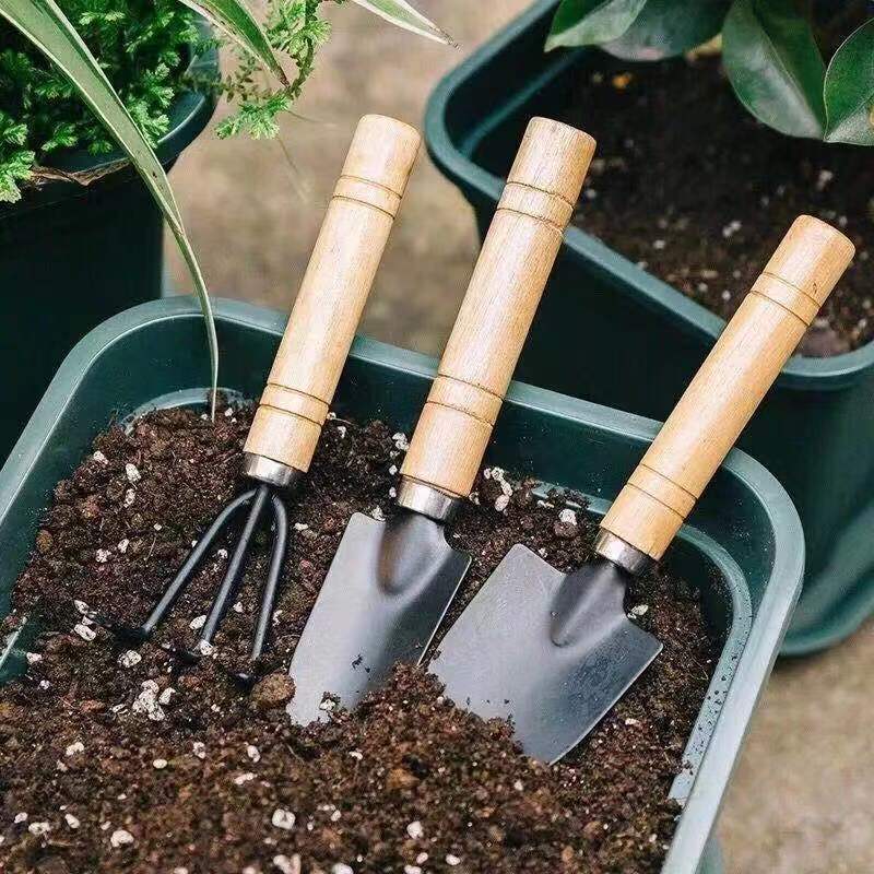 3 pièce/1 ensemble Mini ensemb - Gardening Tools Bundle avis et prix