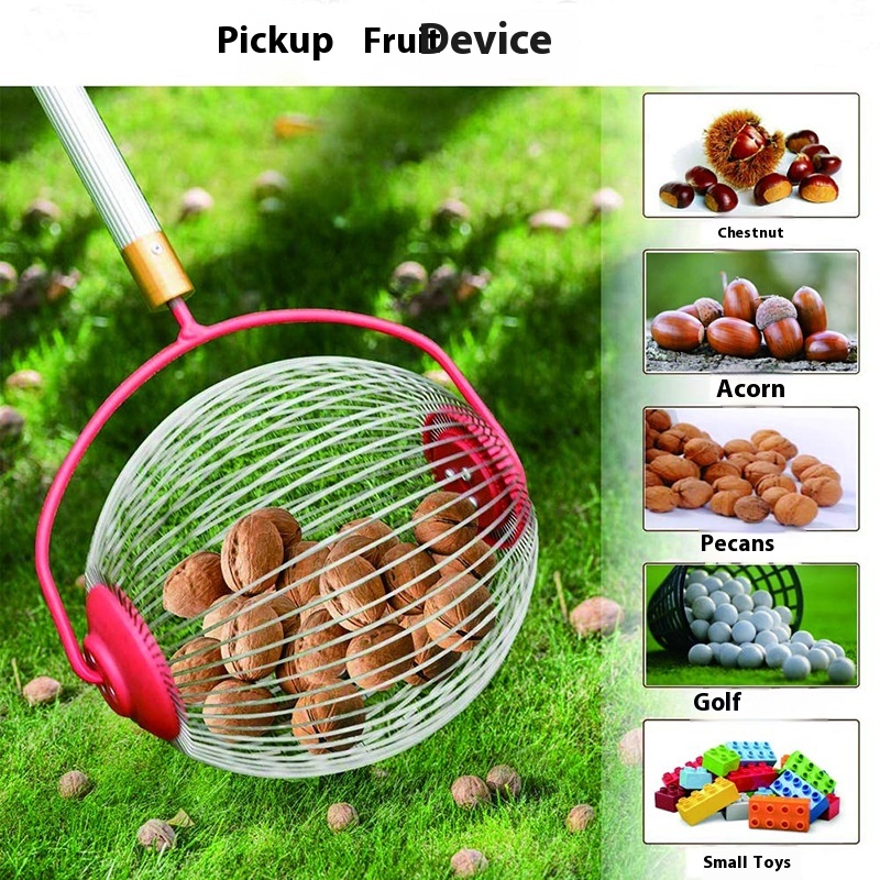 Ramasseur de noix de type tamb - Gardening Tools Types avis et prix