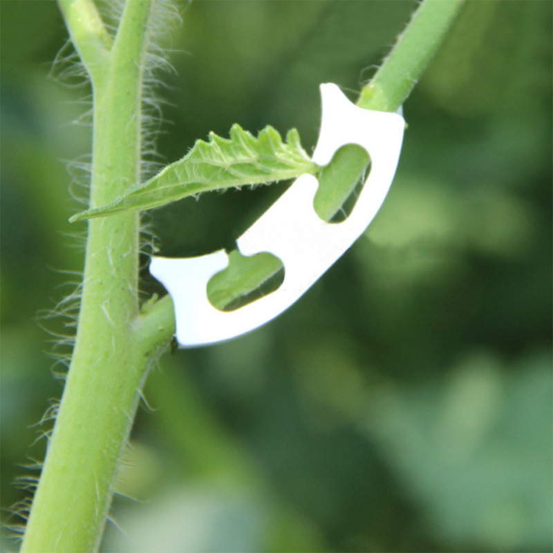 Clips de cerclage de vigne à t - Gardening Tools Bundle avis et prix