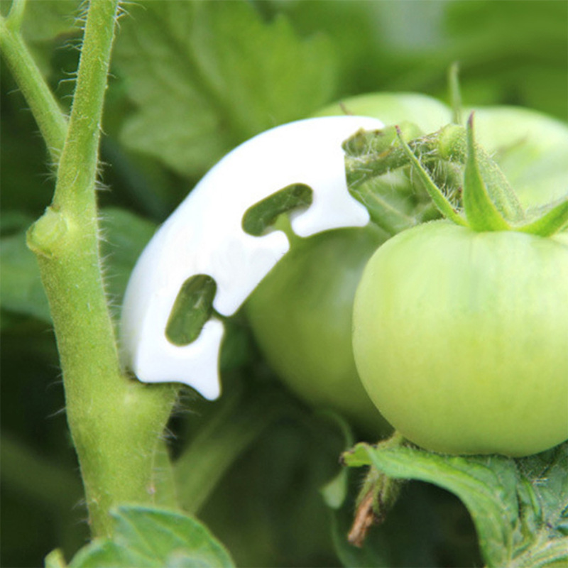 Clips de cerclage de vigne à t - Gardening Tools Bundle avis et prix