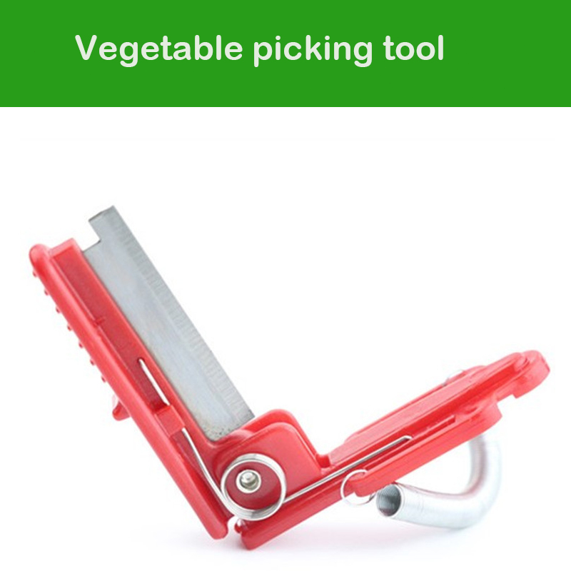 Séparateur de couteaux, outil  - Gardening Tools Youtube avis et prix