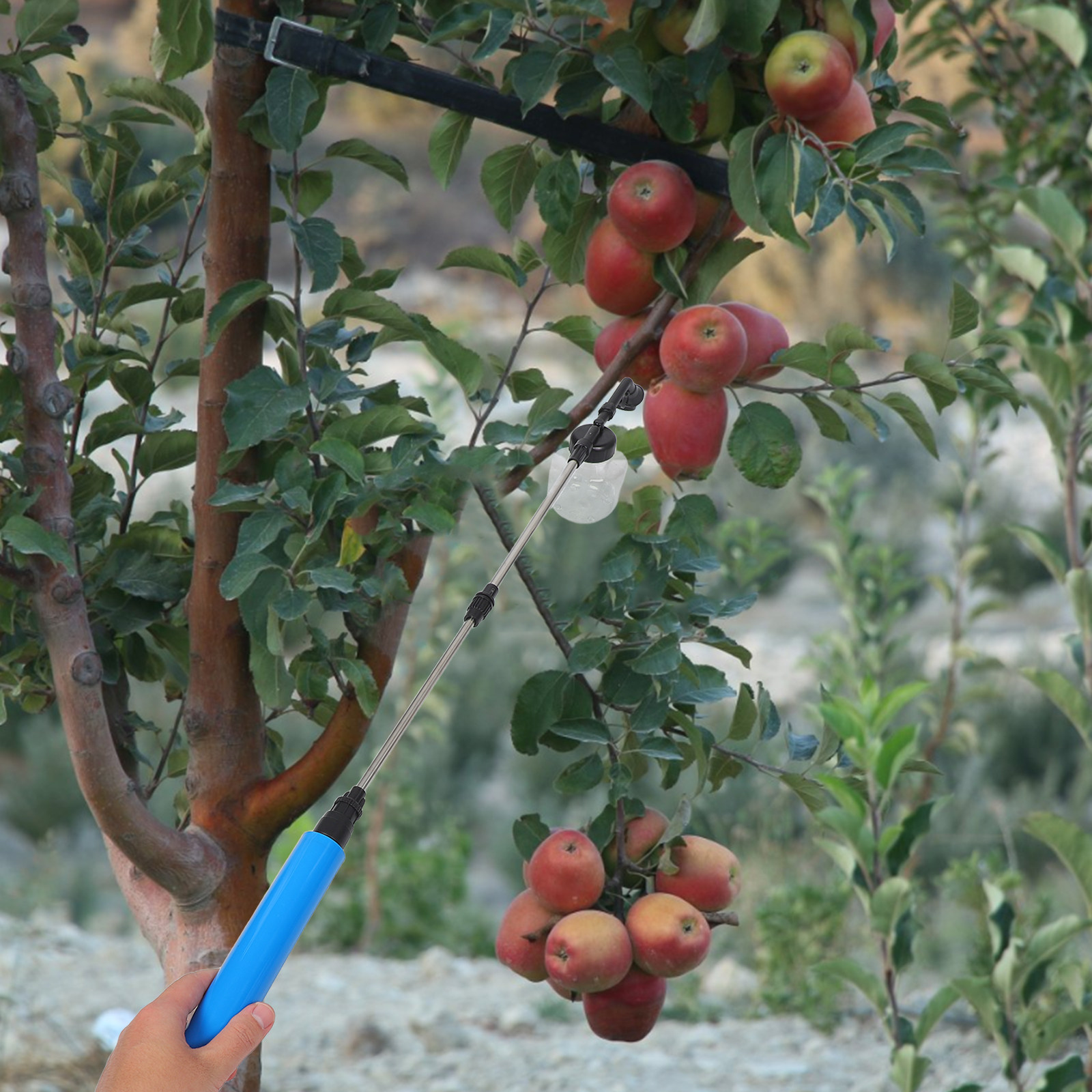 Pulvérisateur manuel pour la p - Gardening Tools Vegetables avis et prix